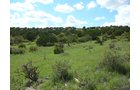 Property photo 2 - 7,320 Acres Offered in 5 Tracts
